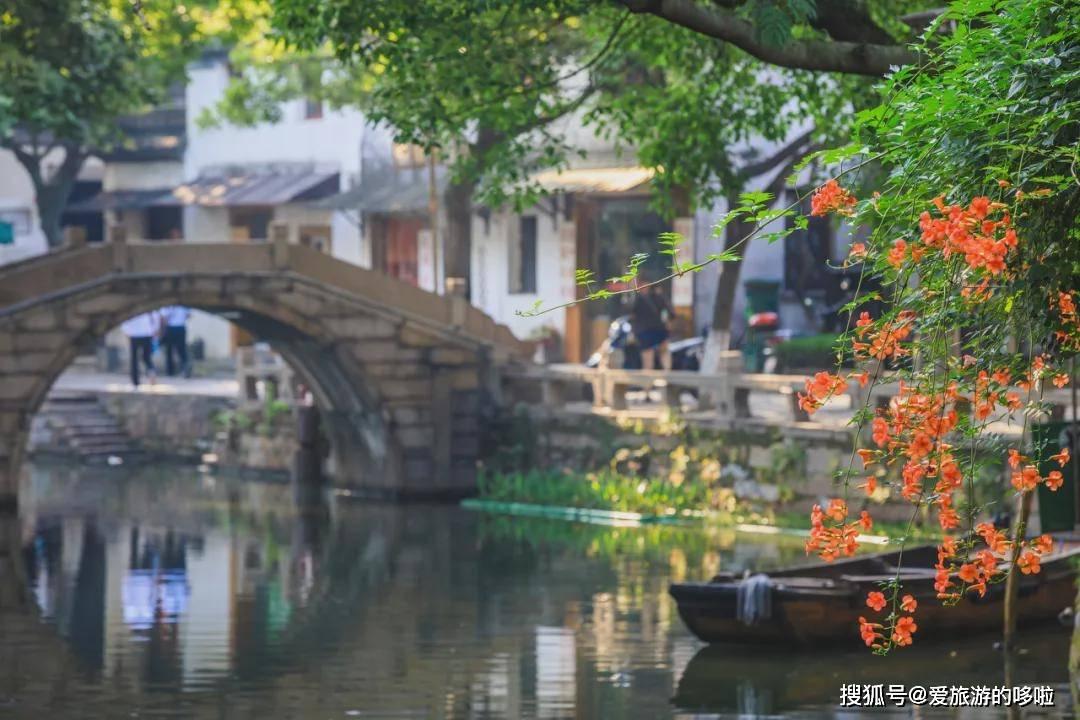精灵嘉年华
